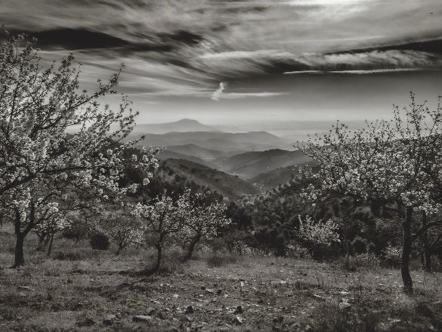 15.º Concurso Fotografia 2019